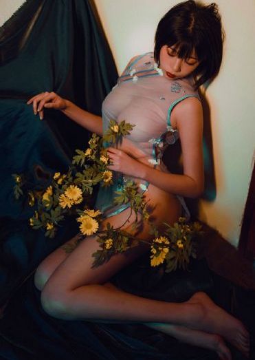女人的理由_高清手机免费观看完整